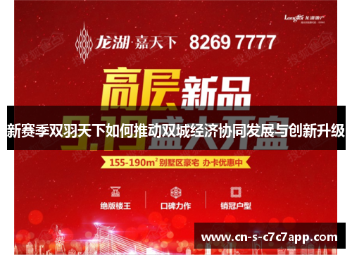 新赛季双羽天下如何推动双城经济协同发展与创新升级