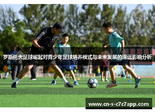 罗斯托夫足球崛起对青少年足球培养模式与未来发展的深远影响分析