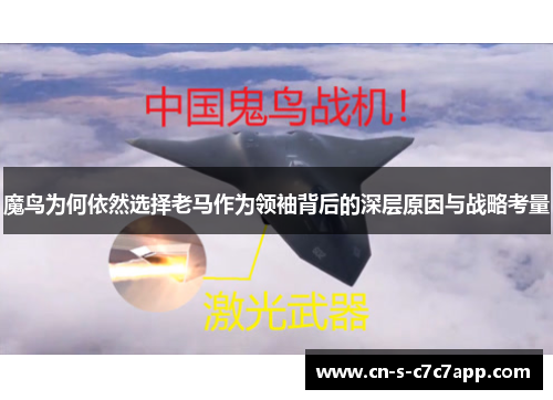 魔鸟为何依然选择老马作为领袖背后的深层原因与战略考量 魔鸟为何依然选择老马作为领袖背后的深层原因与战略考量